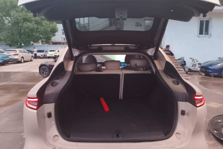 Used  LS6 2023 Max Long-Range Version
