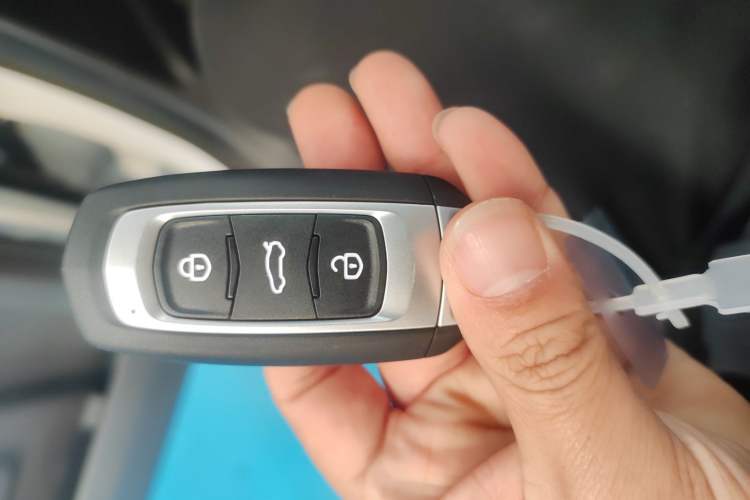 Used  Panda 2024 Panda Mini 200km Endurance Bear
