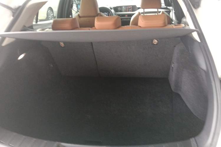 Used Lexus UX New Energy 2020 300e Pure·Joy Edition
