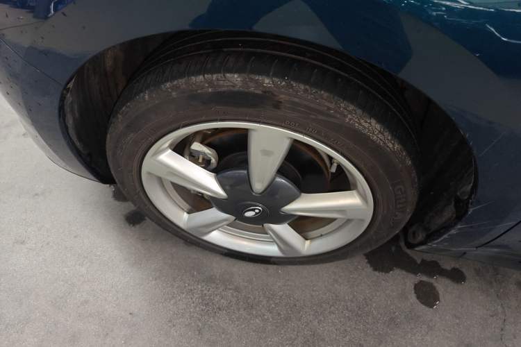 Used ORA Good Cat 2023 401 km Standard Range Luxury Version Lithium Iron Phosphate
