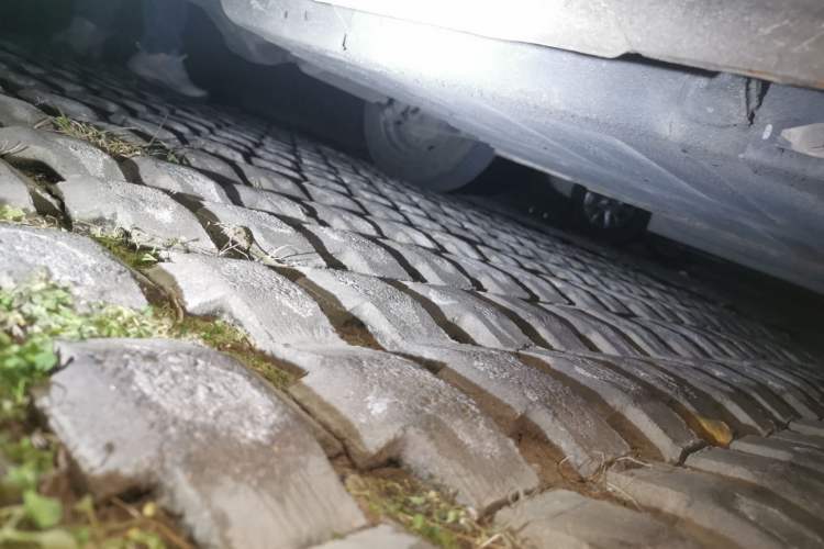 Used  Panda 2023 Panda Mini 200km Endurance Bear
