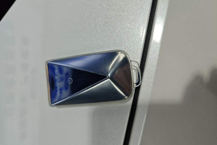 Used  06 2025 Ultra Pure Electric Edition