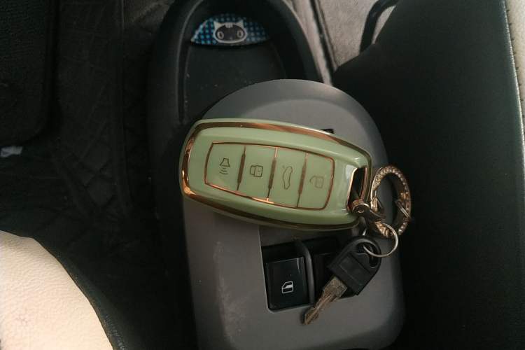 Used ORA Black Cat 2021 301 km Basic Version
