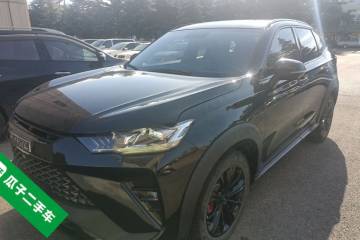 Used Haval H6S 2022 2.0T Two-Wheel Drive JoyRun Version