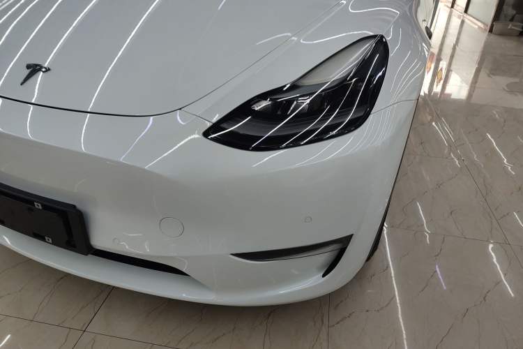 Used Tesla Model Y 2021 Standard Range Rear-Wheel Drive Version
