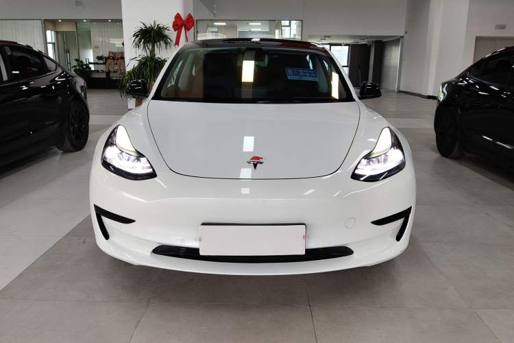 Used Tesla Model 3 2022 Rear-Wheel-Drive Version
