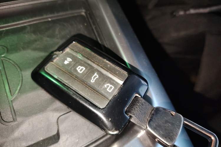 Used Tank 300 2021 City Edition 2.0T—Truly Stylish
