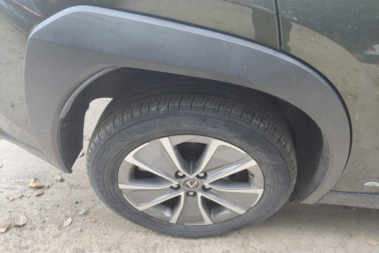 Used Lexus UX New Energy 2020 300e Pure·Joy Edition
