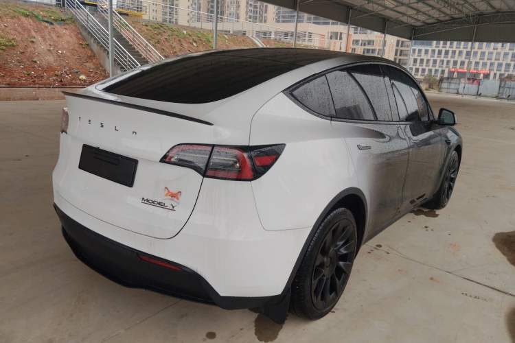 Used Tesla Model Y 2021 Long-Range All-Wheel-Drive Version 3D7