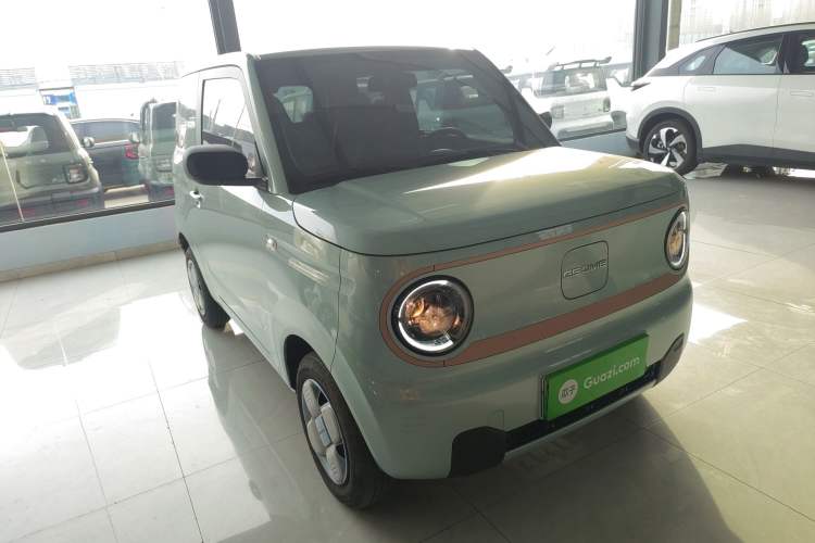 Used  Panda 2024 Panda Mini 200km Endurance Bear
