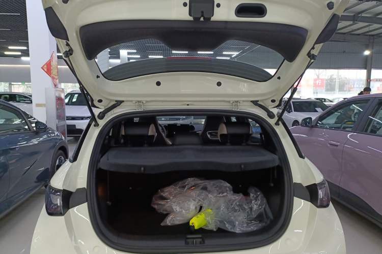 Used BYD Dolphin 2025 420km Free Edition
