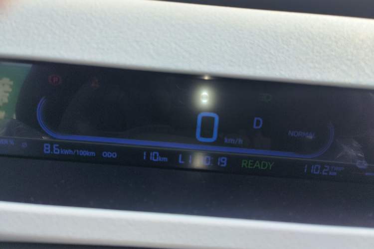 Used  Panda 2024 Panda Mini 200km Endurance Bear
