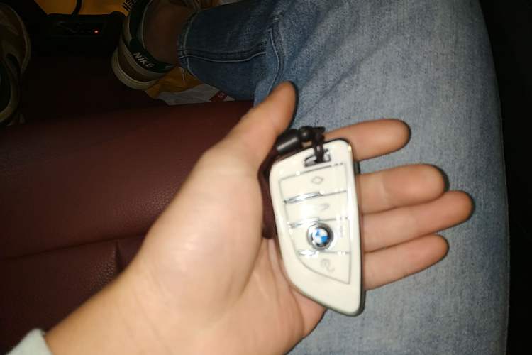 Used BMW 5 Series 2020 530Li Leading Model M Sport Package