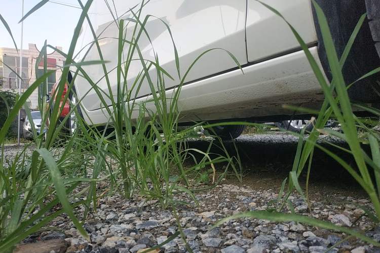 Used Ford Escort 2019 Revised 1.5L Automatic ZhiXiang Version (Tire Pressure Monitoring) China VI Standard
