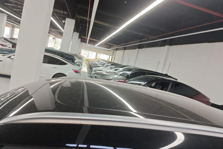 Used  #1 2023 Pro Edition