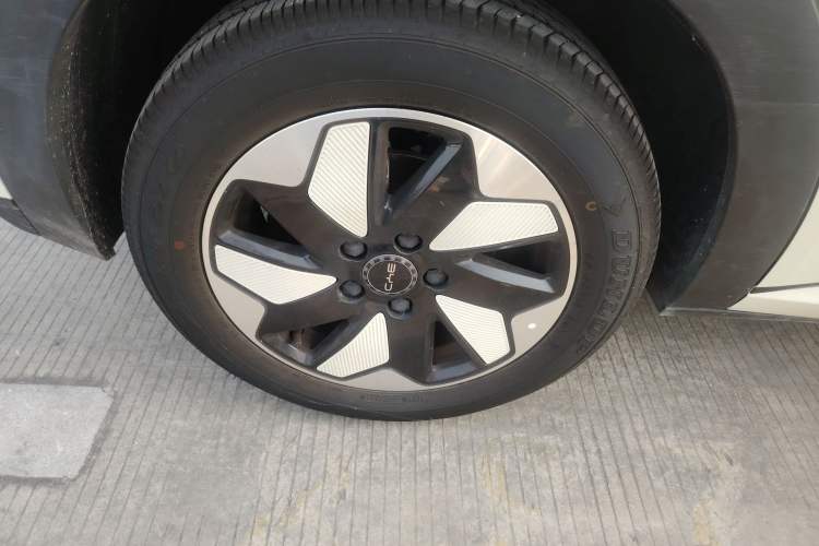 Used BYD Dolphin 2024 Honor Edition 420km Freedom Version
