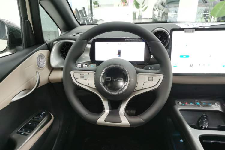 Used BYD Dolphin 2025 Smart Drive Version 420 km Freedom Edition
