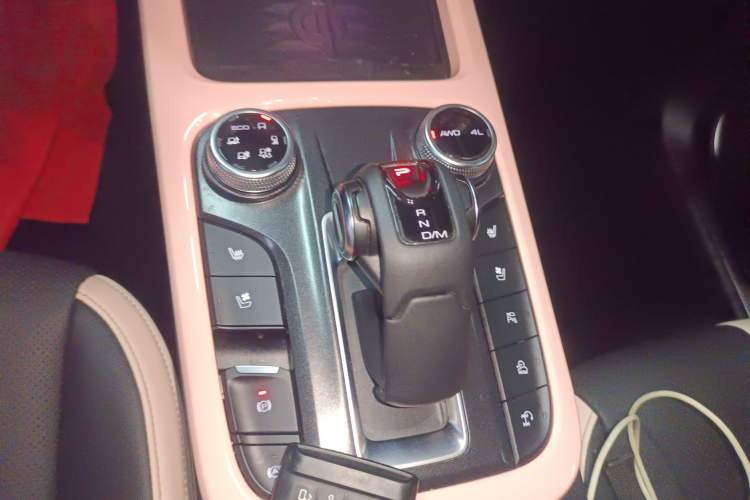 Used Tank 300 2021 City Edition 2.0T—Truly Stylish
