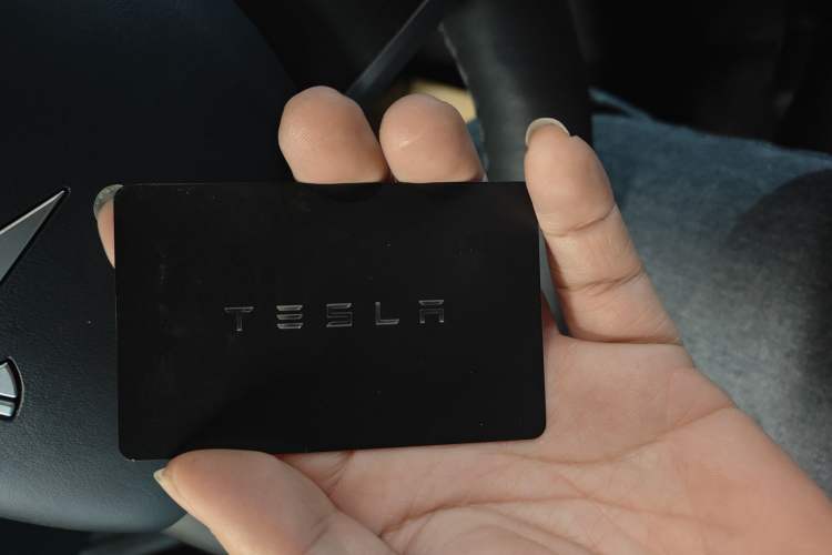 Used Tesla Model Y 2021 Standard Range Rear-Wheel Drive Version