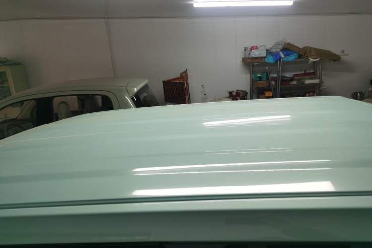 Used  Panda 2024 Panda Mini 200km Endurance Bear
