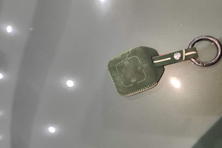 Used Zeekr X 2023 Rear-Drive YOU Edition 4 Seats
