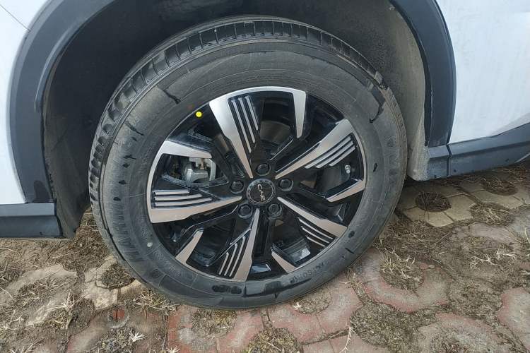 Used BYD Sealion 05 DM-i 2025 DM-i 115KM Prestige Model
