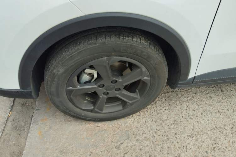 Used Geometry E Firefly 2023 401KM Linglong Tiger 5-Seater
