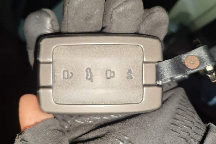 Used Tank 300 2021 City Edition 2.0T—Truly Stylish