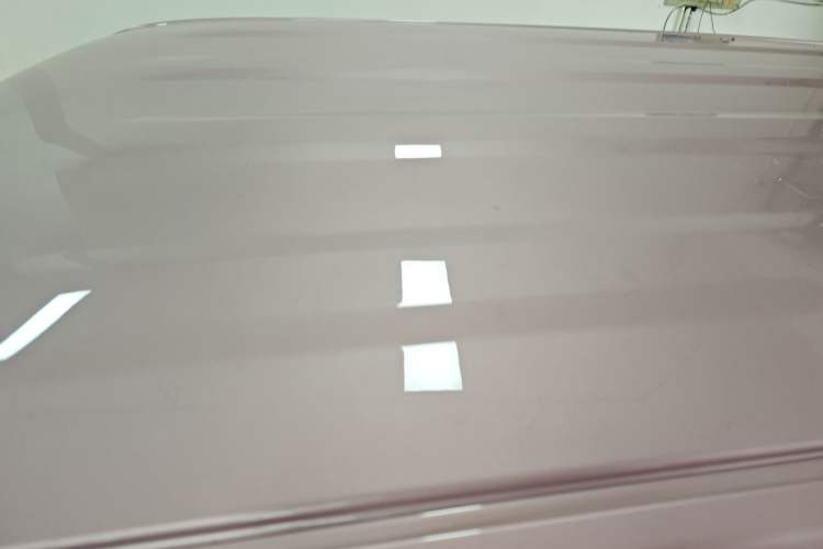 Used  Panda 2024 Panda Mini 200km Endurance Bear