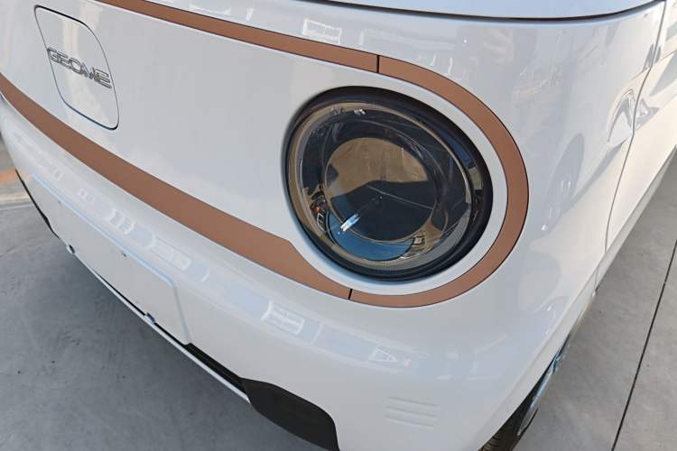 Used  Panda 2024 Panda Mini 200km Endurance Bear
