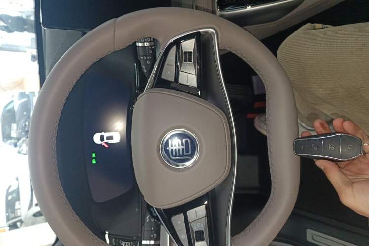 Used BYD Tang New Energy 2025 Intelligent Driving Version DM-i 115KM Flagship Edition