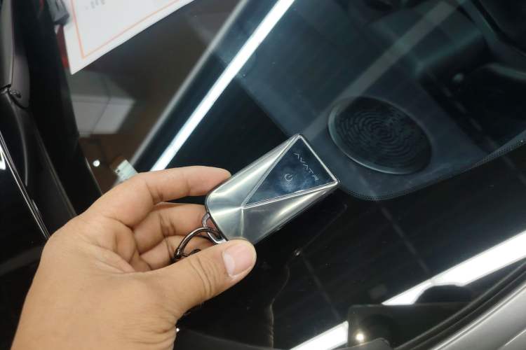 Used  06 2025 Max Extended-Range Edition