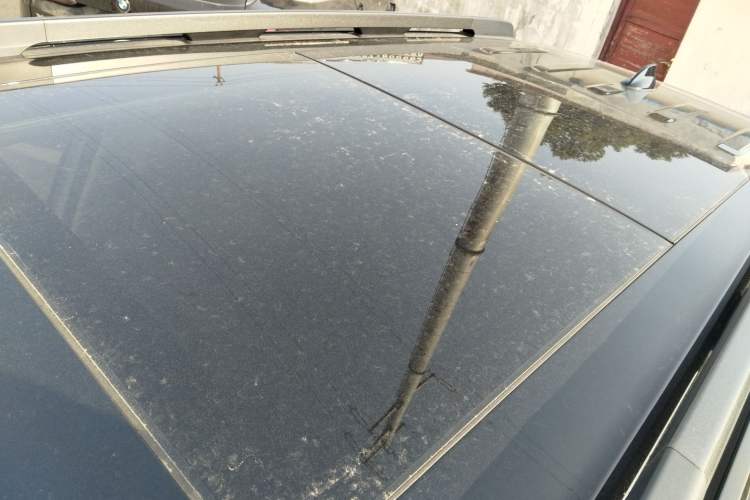 Used Haval DARGO 2024 2.0T DCT Chinese Rural Dog Edition
