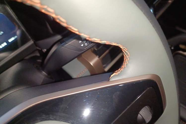 Used  03 2024 501km Range Two-Wheel Drive Long-Range Smart Trend Edition
