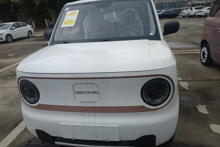 Used  Panda 2024 Panda Mini 200km Endurance Bear