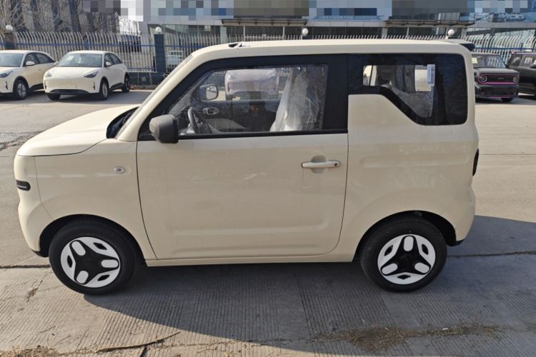 Used  Panda 2025 210 km – Yuanqi Bear
