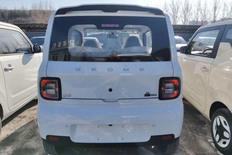 Used  Panda 2025 210 km – Yuanqi Bear
