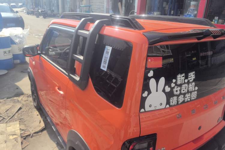 Used  Panda 2024 200km Panda Rider