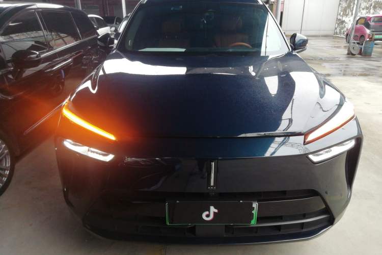 Used Wey Lanshan 2023 Four-Wheel Drive Ultra-Long Range Version