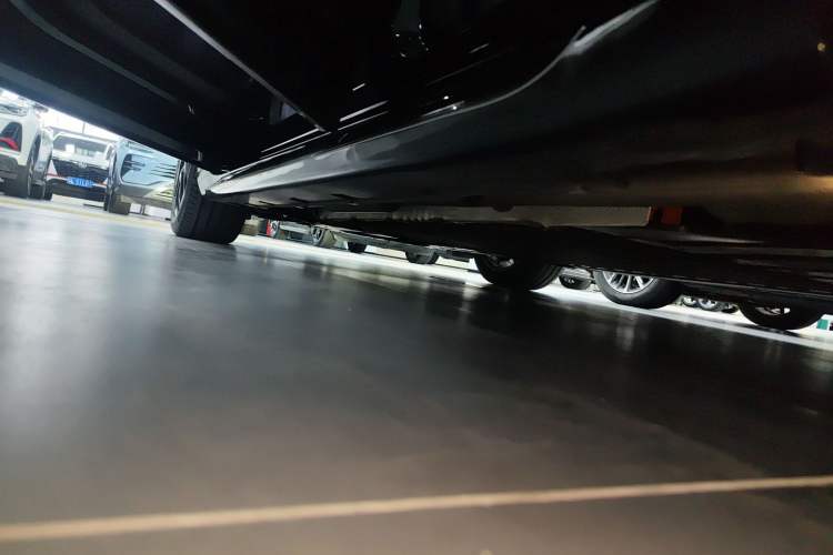 Used  06 2025 Max Extended-Range Edition
