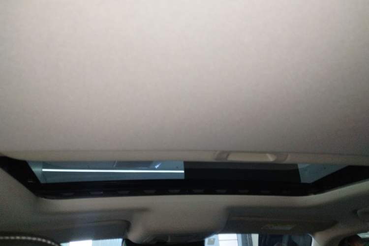 Used Tank 300 2021 Off-Road Edition 2.0T Conqueror
