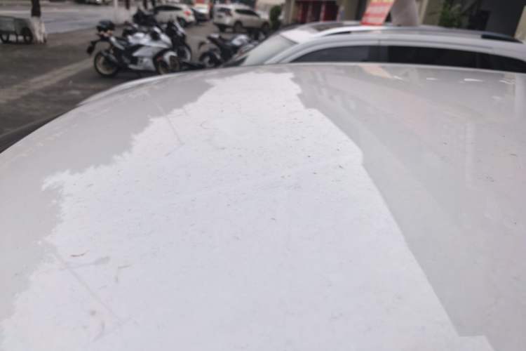 Used Ford Focus 2015 Sedan 1.6L Automatic Comfort Model
