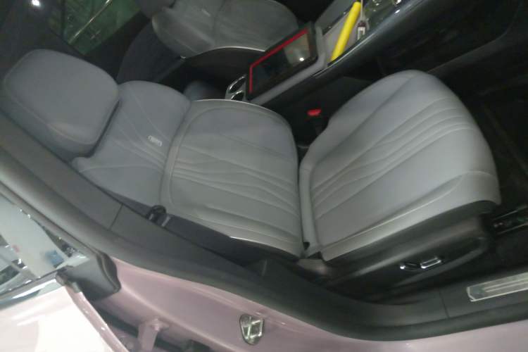 Used  E8 2024 550 km Range Rear-Drive Dragon Edition