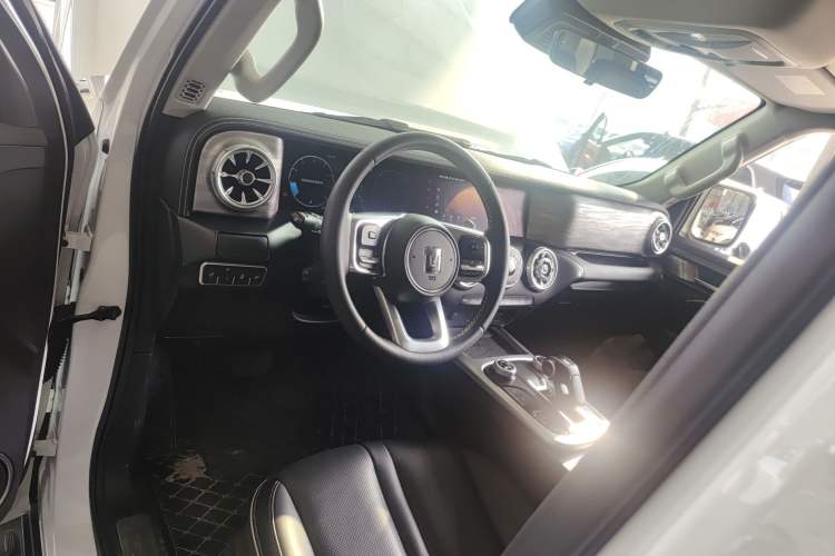 Used Tank 300 2024 2.0T Conqueror