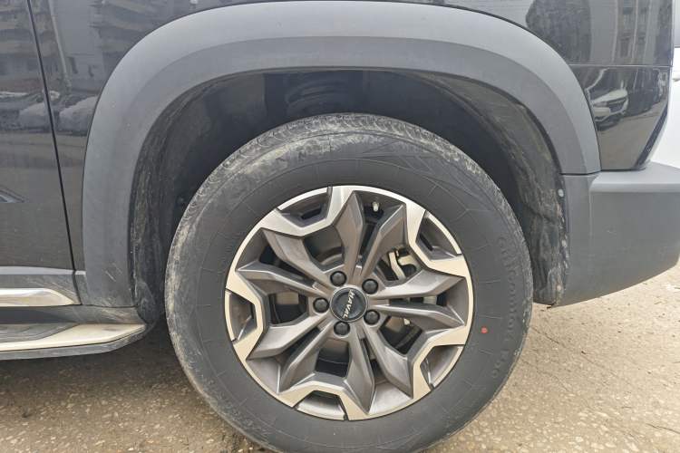 Used Haval DARGO 2021 2.0T DCT 4x4 Chinese Rural Dog Edition
