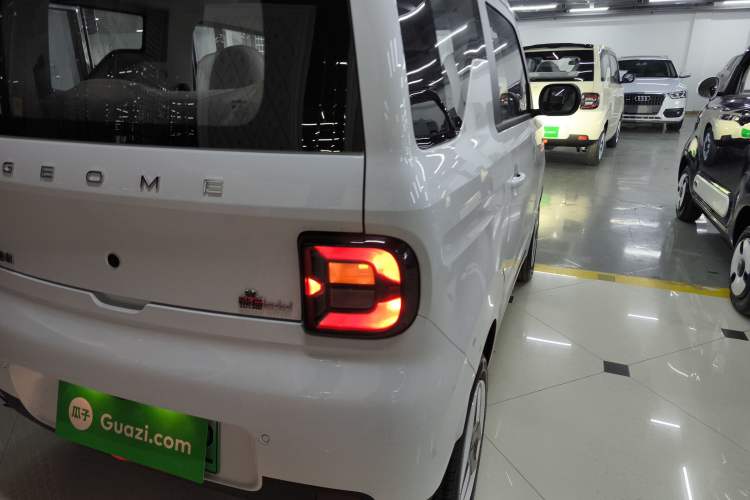 Used  Panda 2025 210 km – Yuanqi Bear
