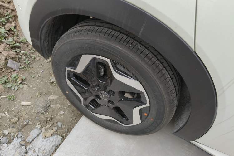 Used BYD Dolphin 2025 Smart Drive Version 420 km Freedom Edition
