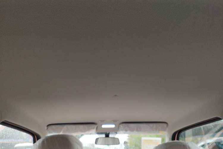 Used  Panda 2024 Panda Mini 200km Endurance Bear