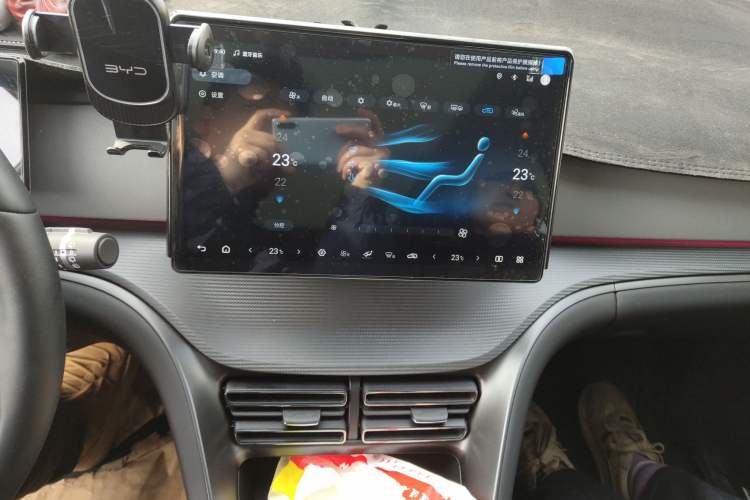 Used BYD Sealion 05 DM-i 2025 DM-i Smart Drive 115KM Prestige Model
