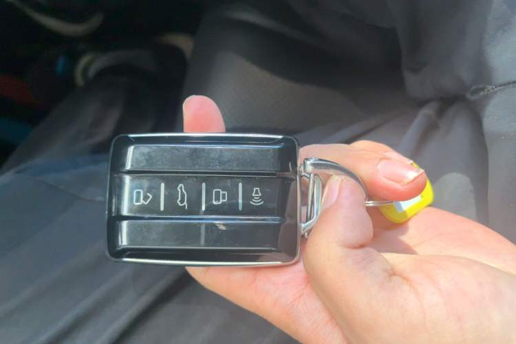 Used Tank 300 2021 Off-Road Edition 2.0T Conqueror